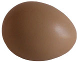 Pheasant egg at Krug's
